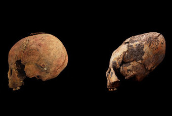 Странные вытянутые черепа. Зачем люди древности модифицировали свое тело Археология