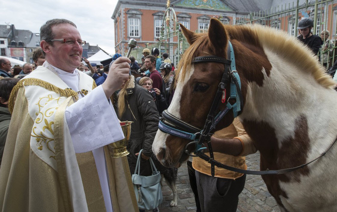 В Бельгии проводят церемонии благословения животных животный мир