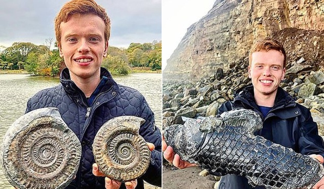 Британец нашел на пляже древнее существо, возраст которого может составлять 185 миллионов лет всячина